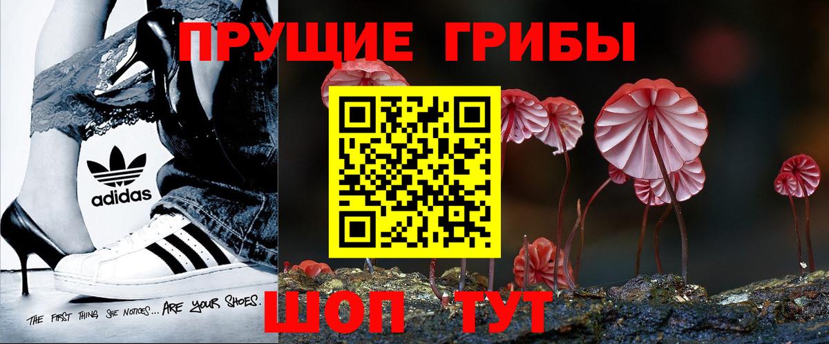Зерноград  Псилоцибиновые грибы Psilocybe  Псилоцибиновые грибы прущие грибы  Вход с VPN 